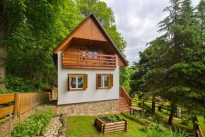 Cozy Modern Cottage by the Forest